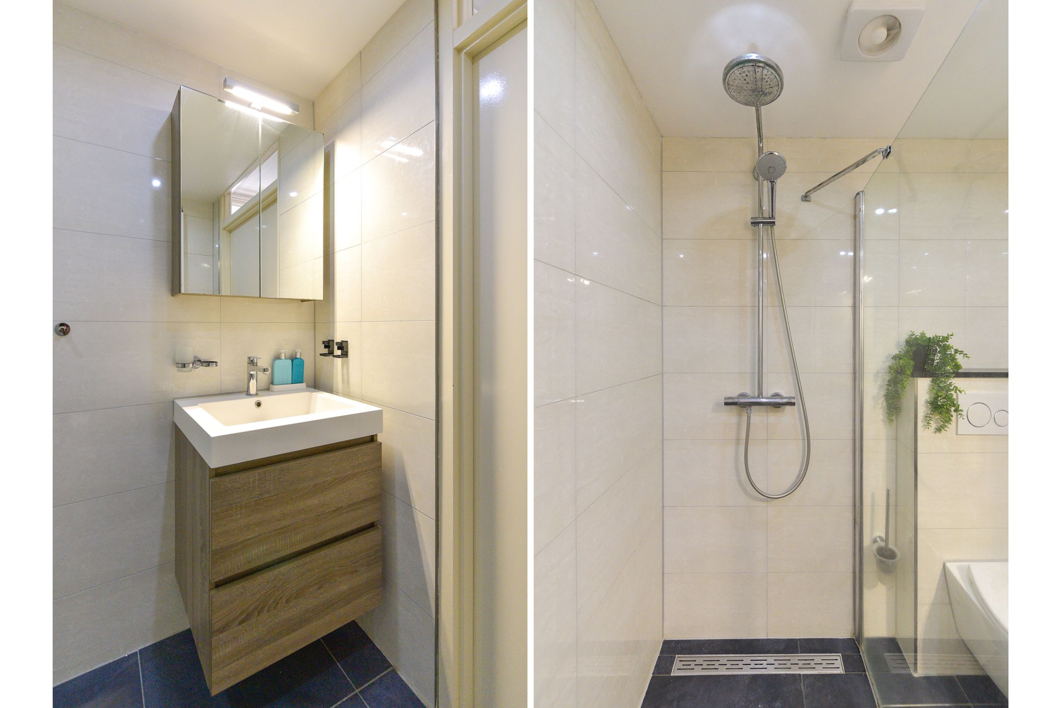 Foto 30 van Rijsenburgselaan 61