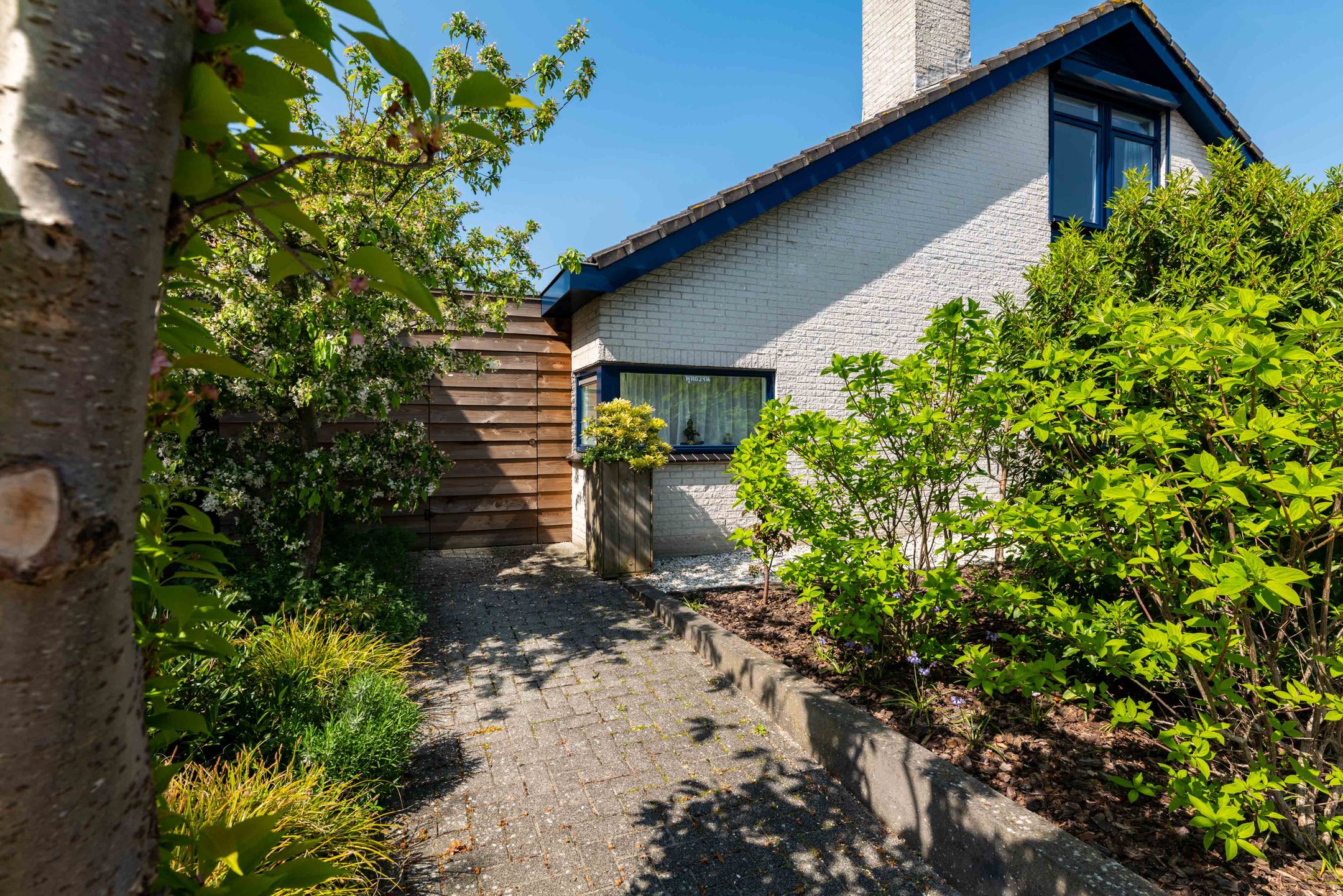 Foto 6 van Bachstraat 11