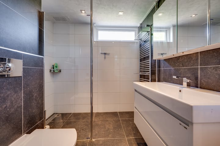 Foto 5 van de Bieslook 19