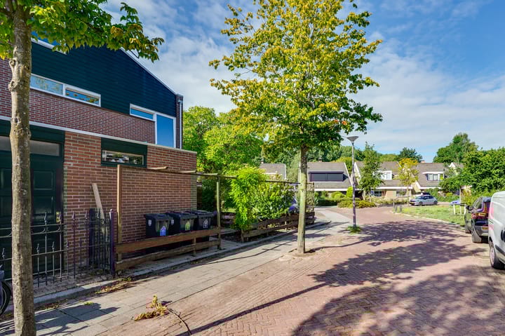 Foto 6 van de Bieslook 19