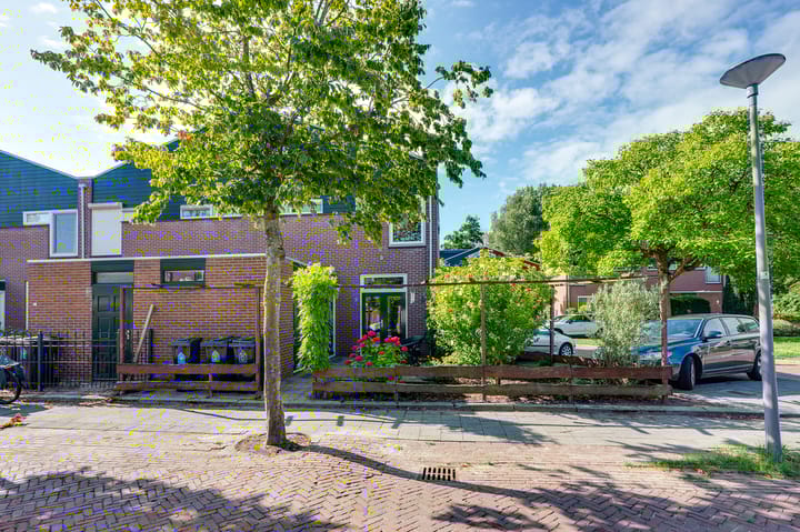 Foto 7 van de Bieslook 19