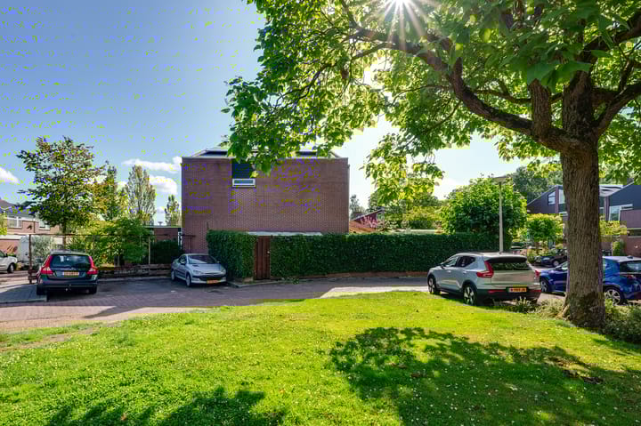 Foto 8 van de Bieslook 19