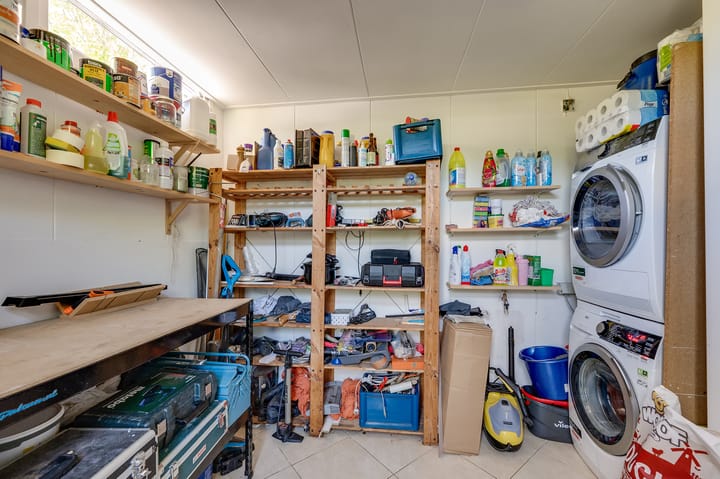 Foto 23 van de Bieslook 19