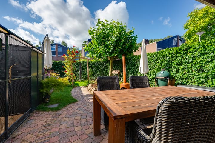 Foto 25 van de Bieslook 19