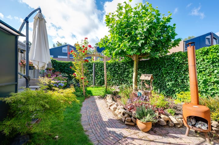 Foto 26 van de Bieslook 19