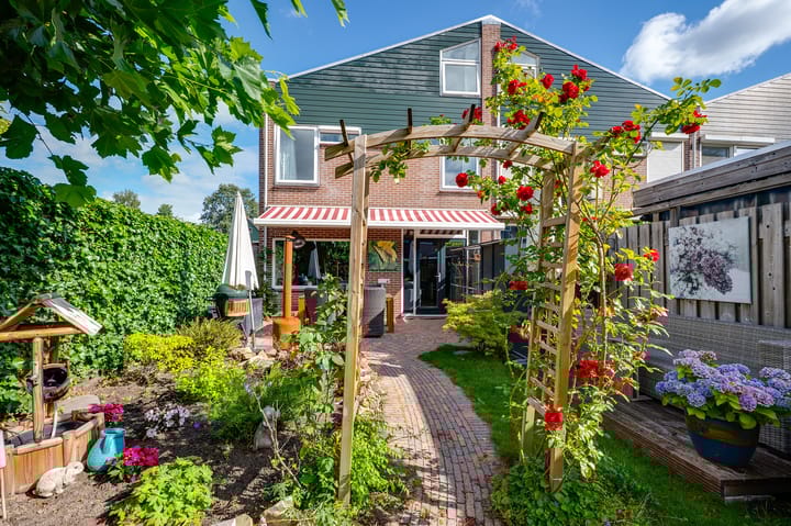 Foto 27 van de Bieslook 19