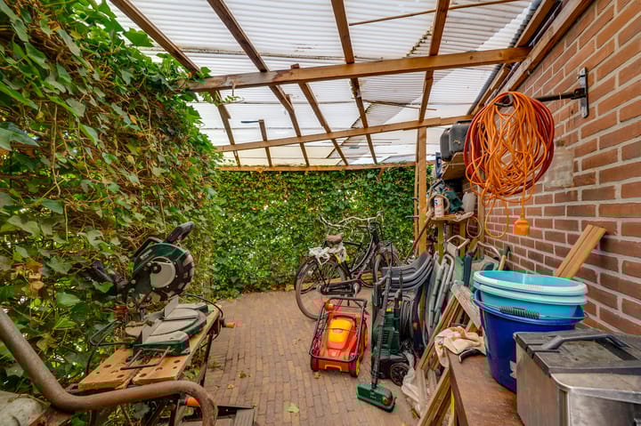 Foto 28 van de Bieslook 19