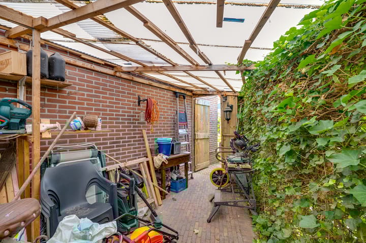 Foto 29 van de Bieslook 19