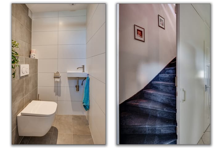 Foto 30 van de Bieslook 19