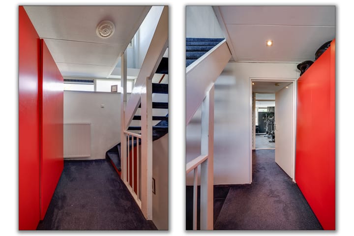 Foto 31 van de Bieslook 19