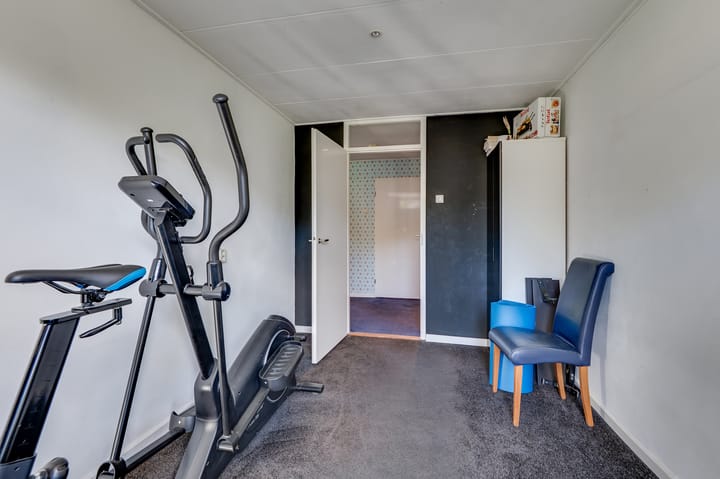 Foto 37 van de Bieslook 19