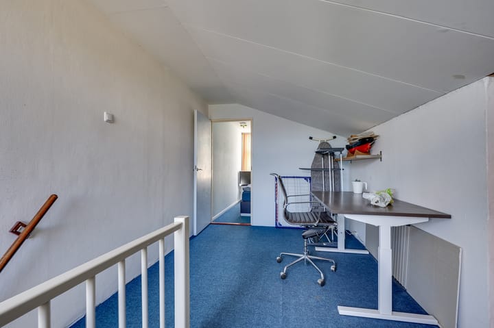 Foto 42 van de Bieslook 19