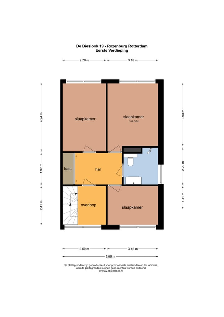 Foto 49 van de Bieslook 19