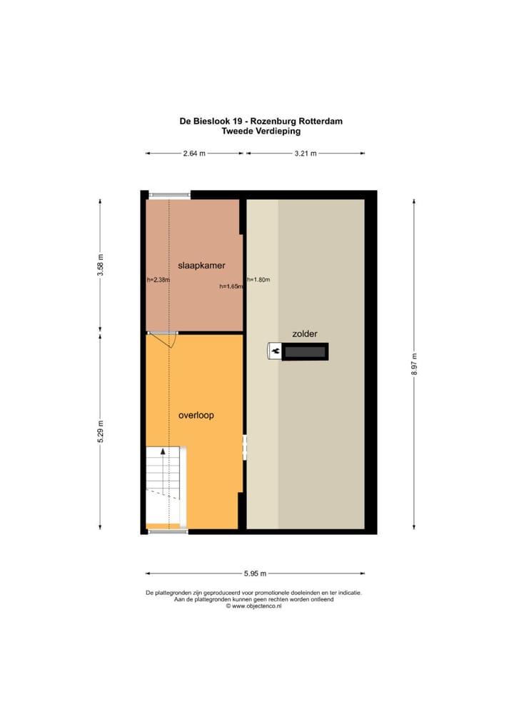 Foto 55 van de Bieslook 19