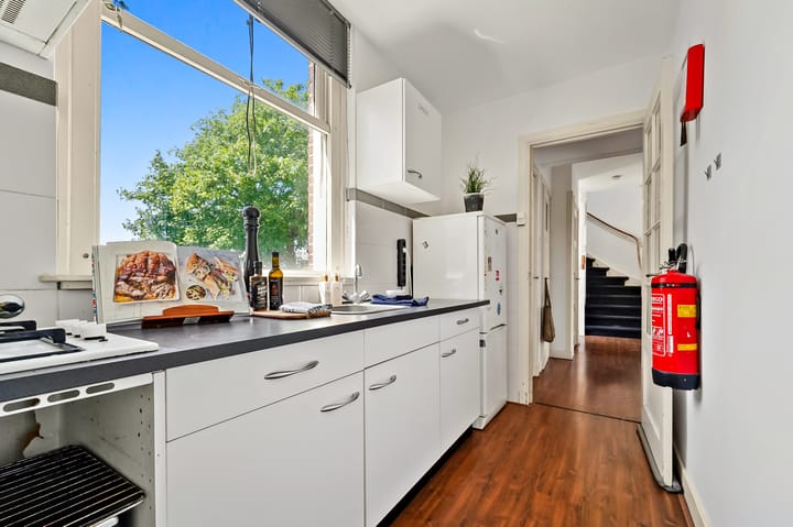 Foto 14 van Van Hallstraat 3