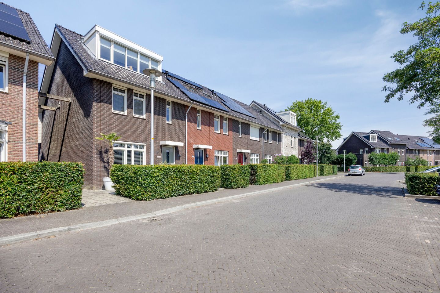 Foto 35 van Koolwitje 21