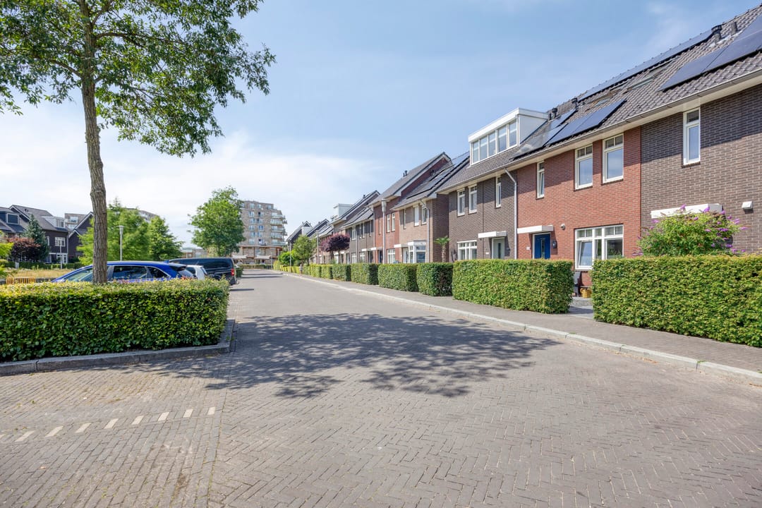 Foto 37 van Koolwitje 21