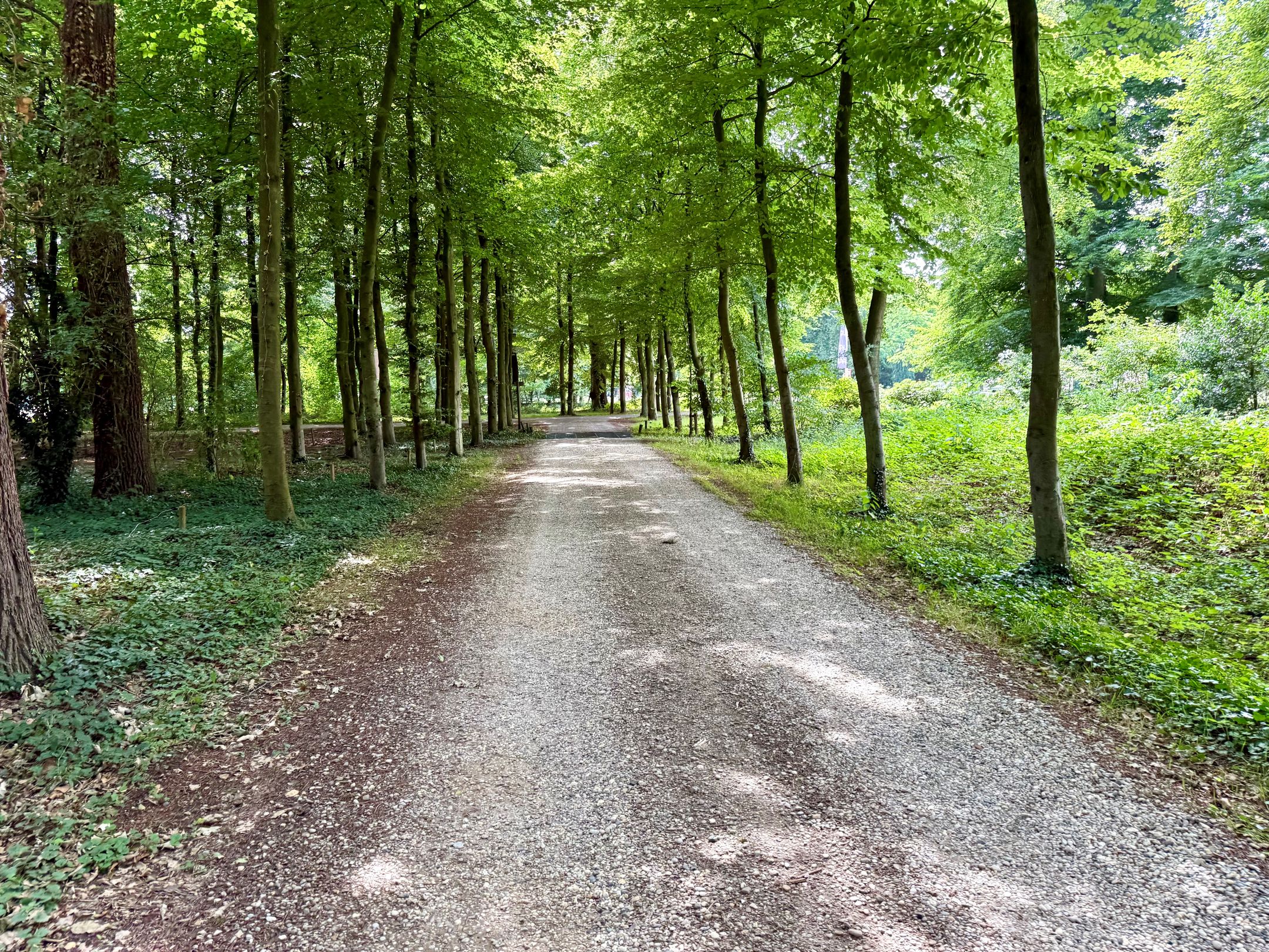 Foto 21 van Edeseweg 128