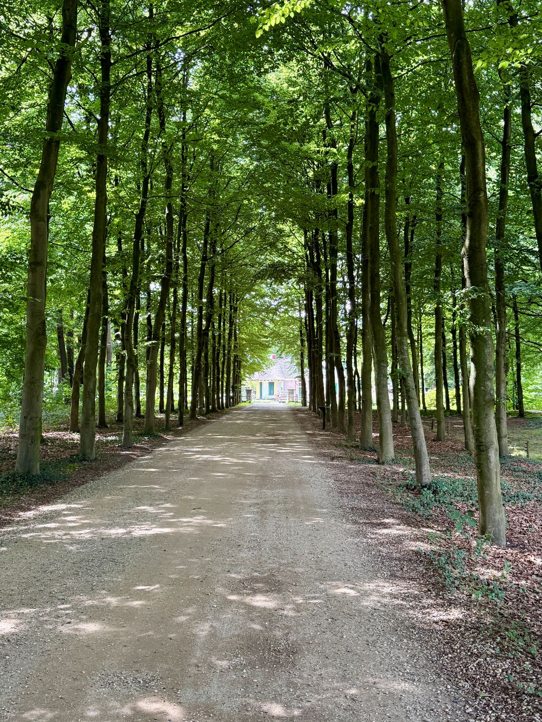 Foto 22 van Edeseweg 128