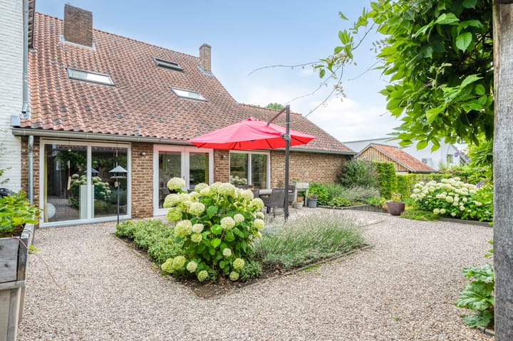 Foto 39 van Stegelstraat 18