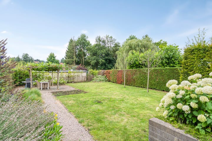 Foto 42 van Stegelstraat 18