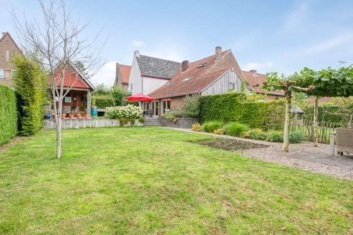 Foto 43 van Stegelstraat 18