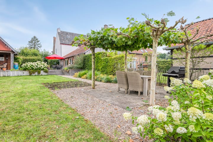 Foto 44 van Stegelstraat 18