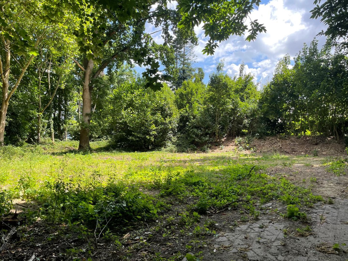 Photo 49 of Oude Bosweg