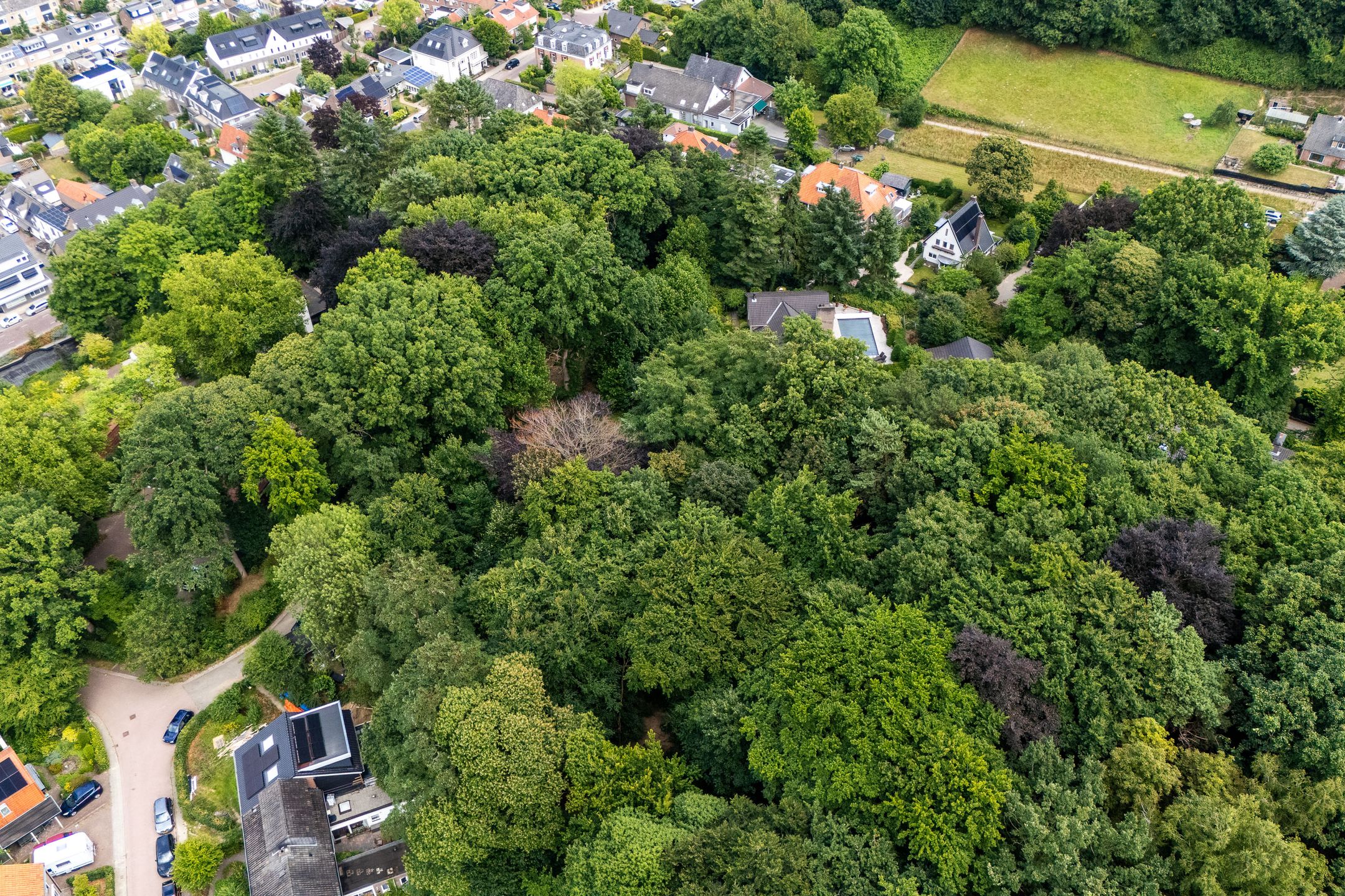 Photo 51 of Oude Bosweg