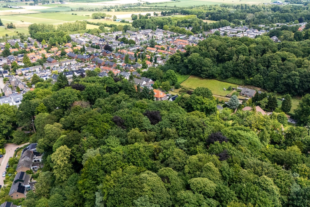 Photo 53 of Oude Bosweg