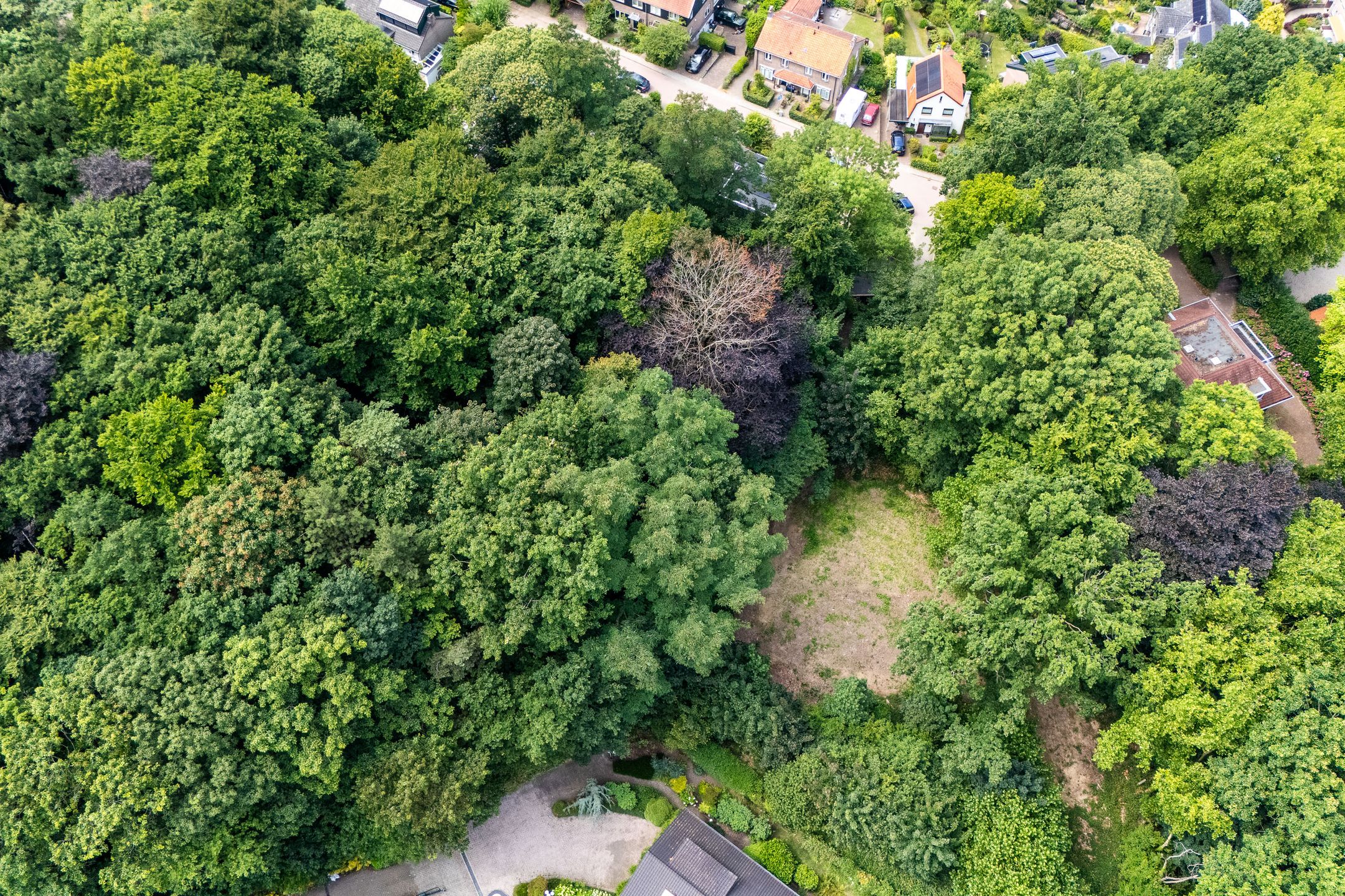 Photo 54 of Oude Bosweg