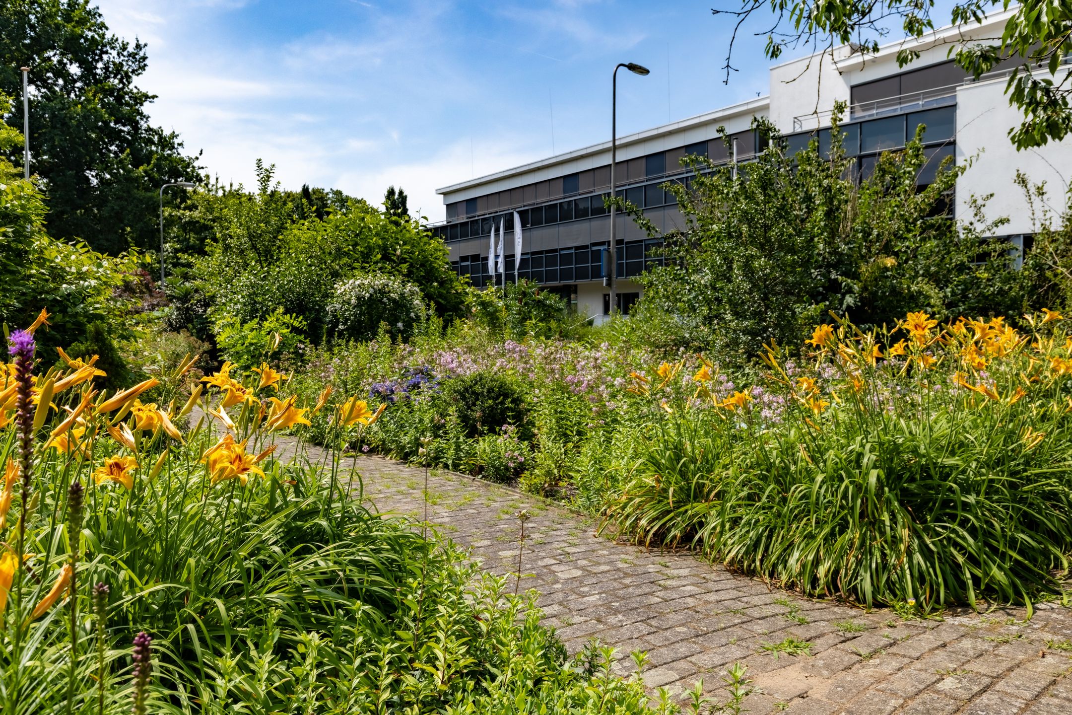 Foto 24 van Molenbelterweg 9-202