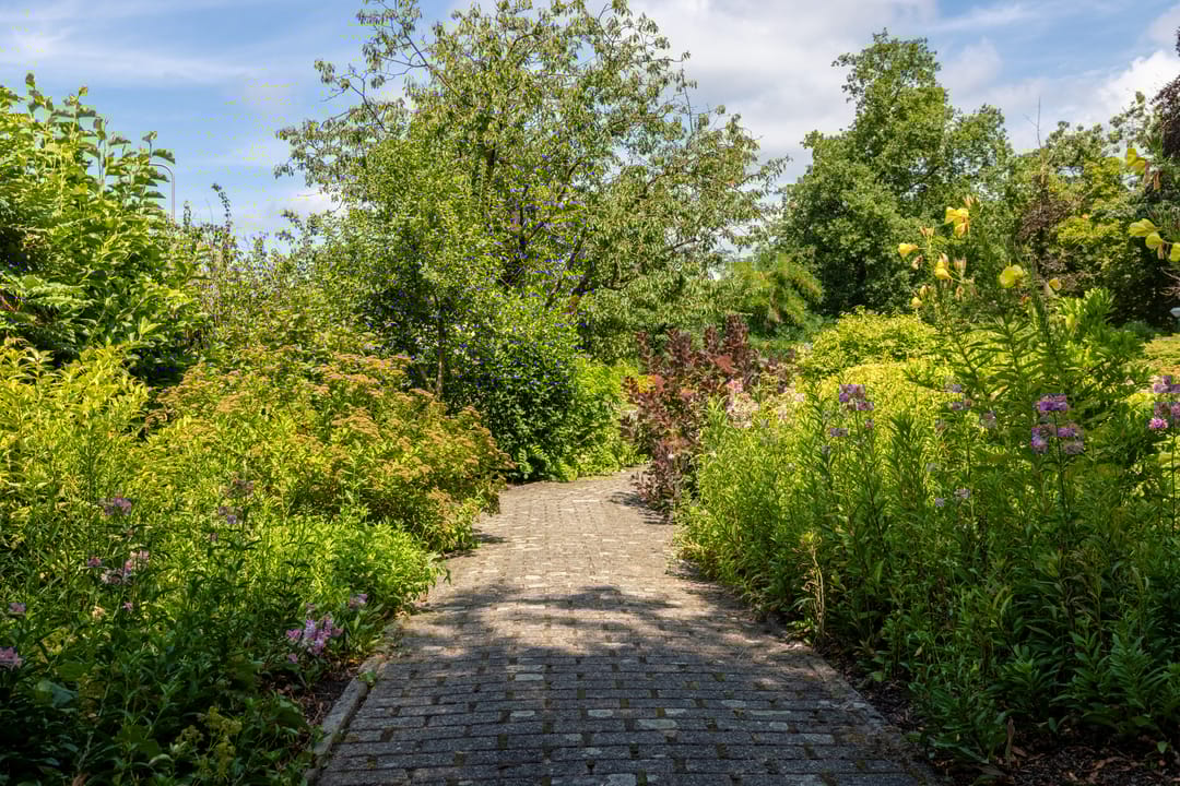 Foto 26 van Molenbelterweg 9-202