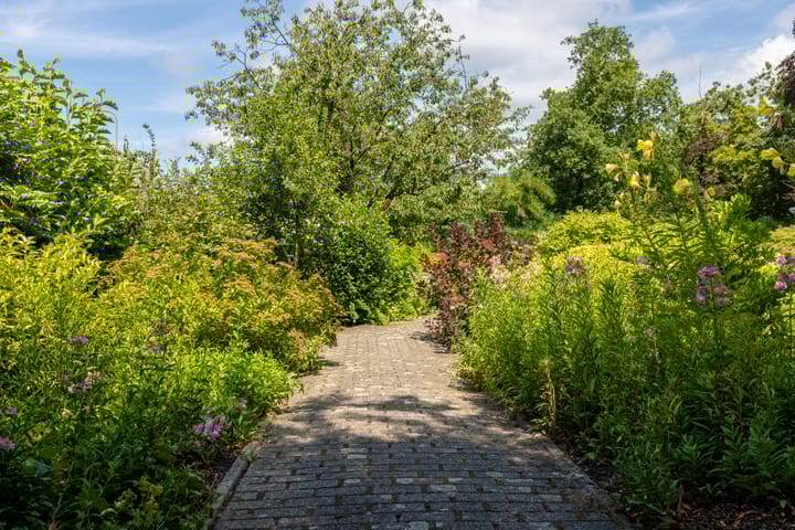 Foto 26 van Molenbelterweg 9-202