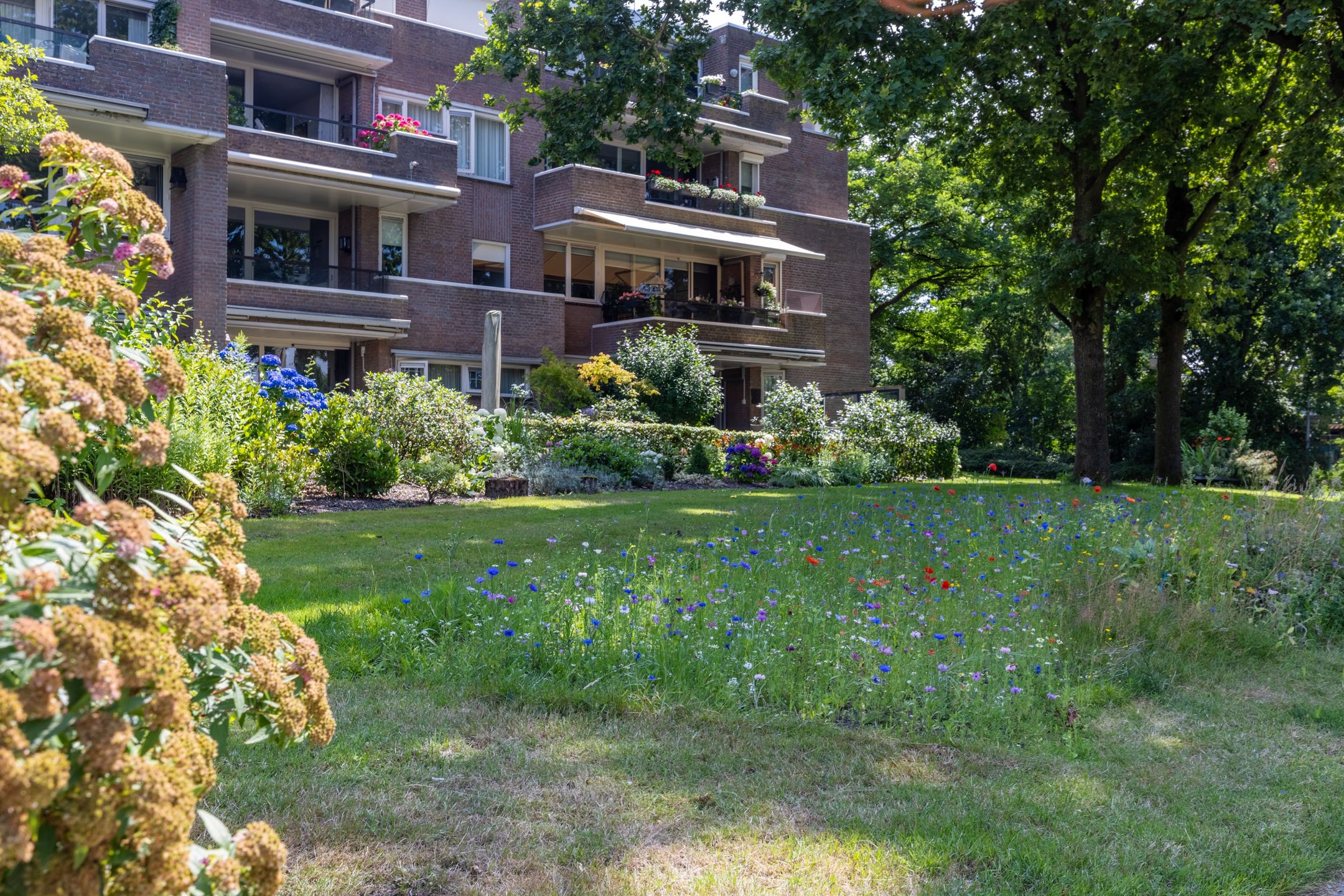 Foto 27 van Molenbelterweg 9-202