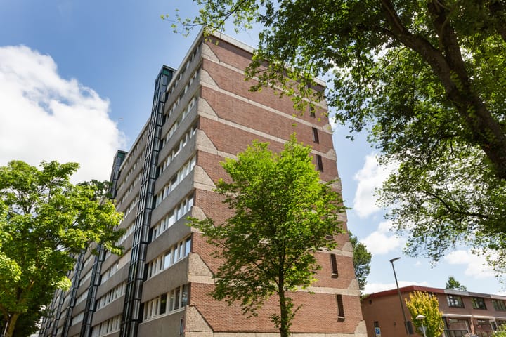 Foto 2 van Patmosdreef 98