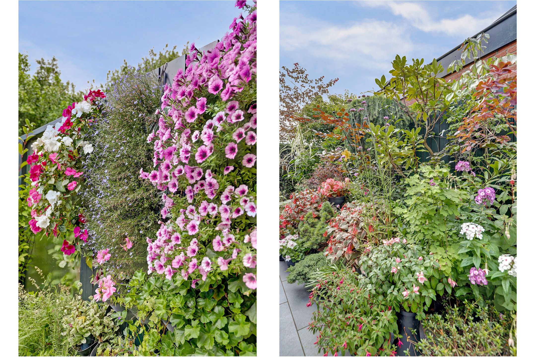 Foto 27 van Molenlaan 40