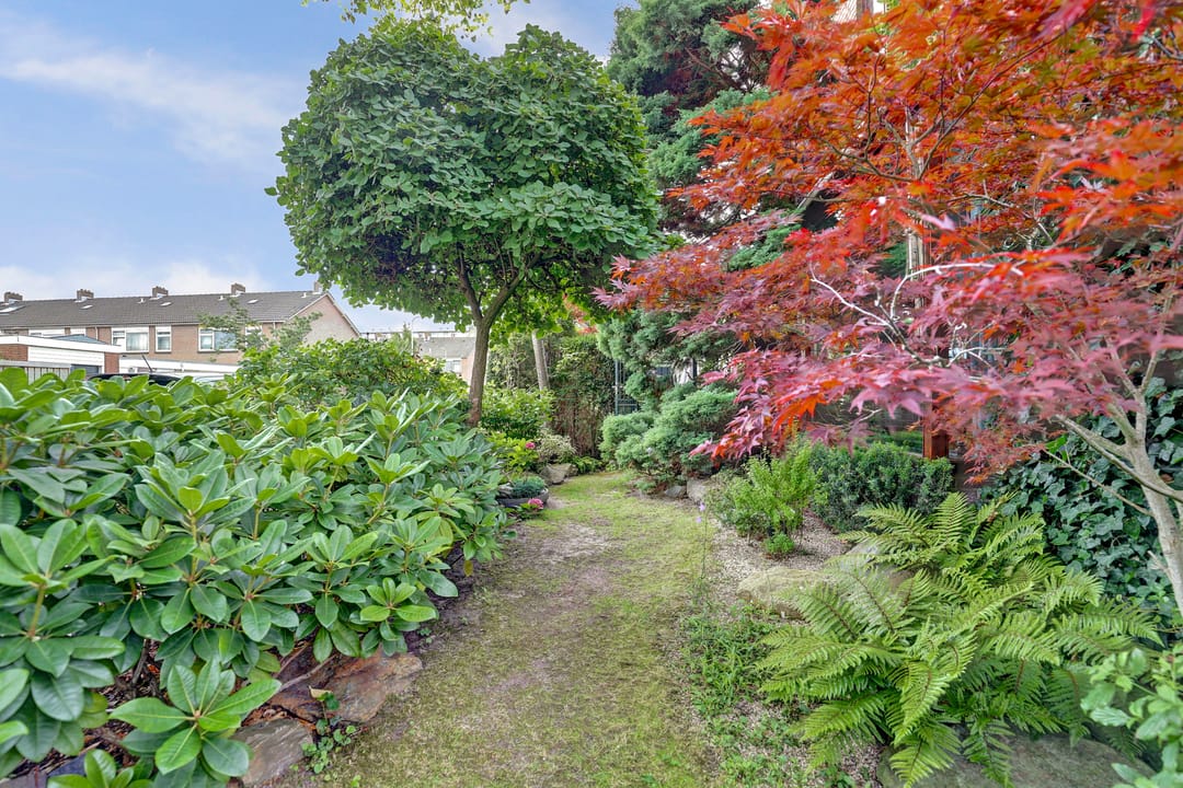 Foto 28 van Molenlaan 40