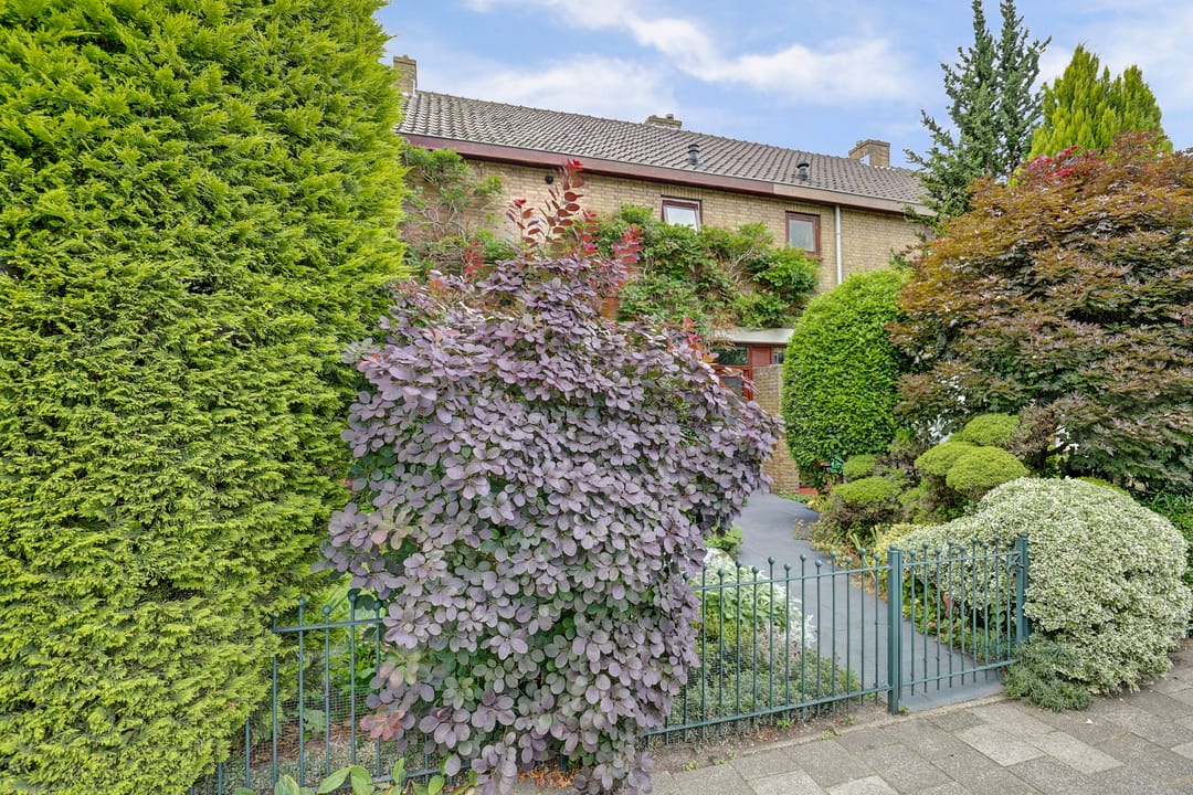 Foto 31 van Molenlaan 40