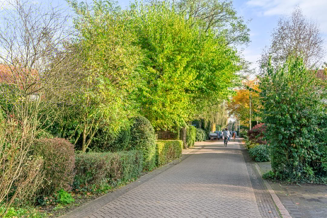 Photo 47 of Boslaan 26