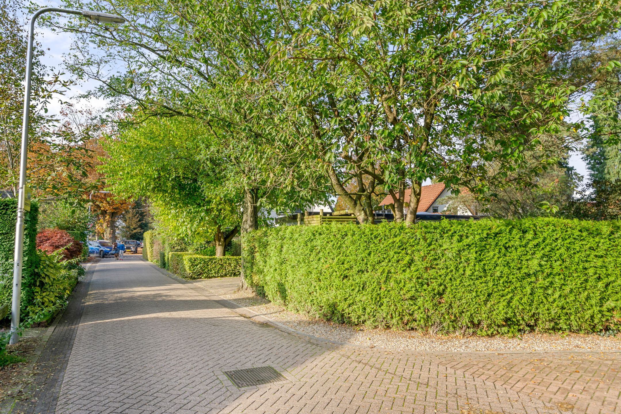 Photo 48 of Boslaan 26