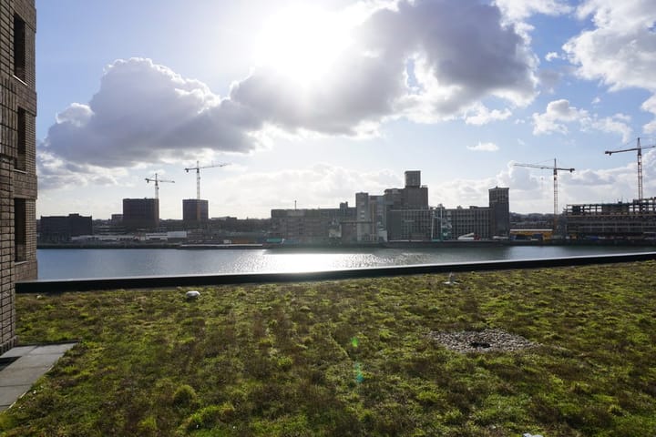 Foto 3 van De Monchyplein 8