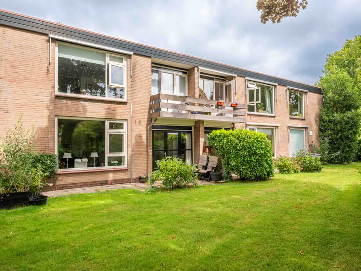 Foto 3 van Luiveland 11