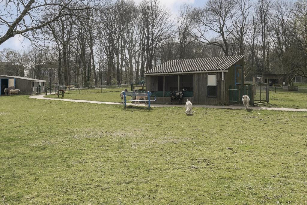 Foto 20 van Mies van der Rohestraat 189