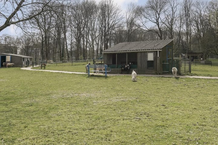 Photo 20 of Mies van der Rohestraat 189