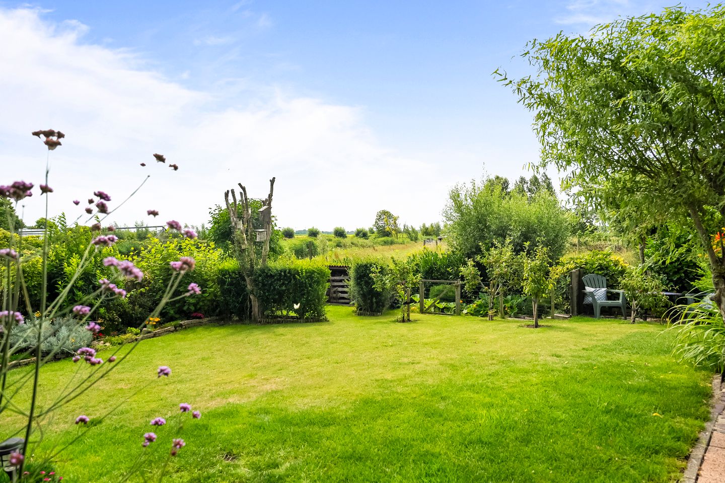 Foto 4 van Terpweg 4