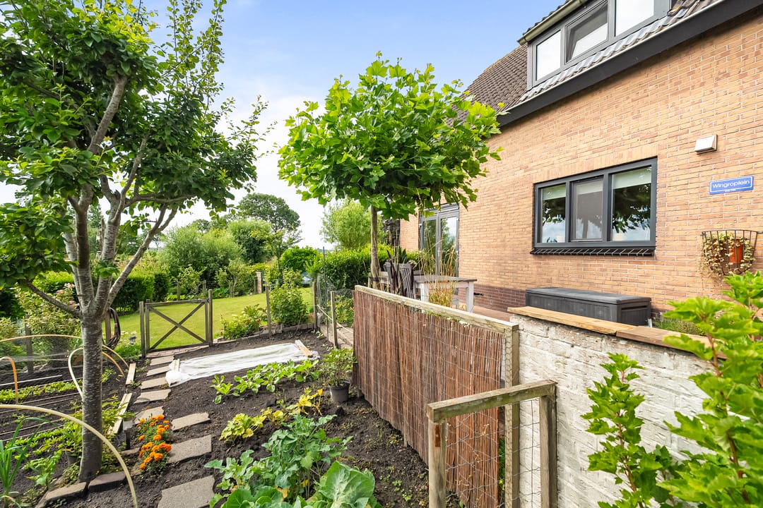 Foto 47 van Terpweg 4