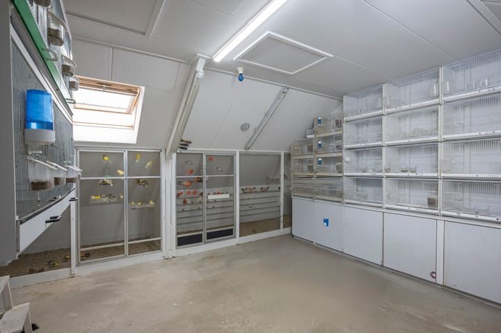 Foto 23 van Bunderweide 8