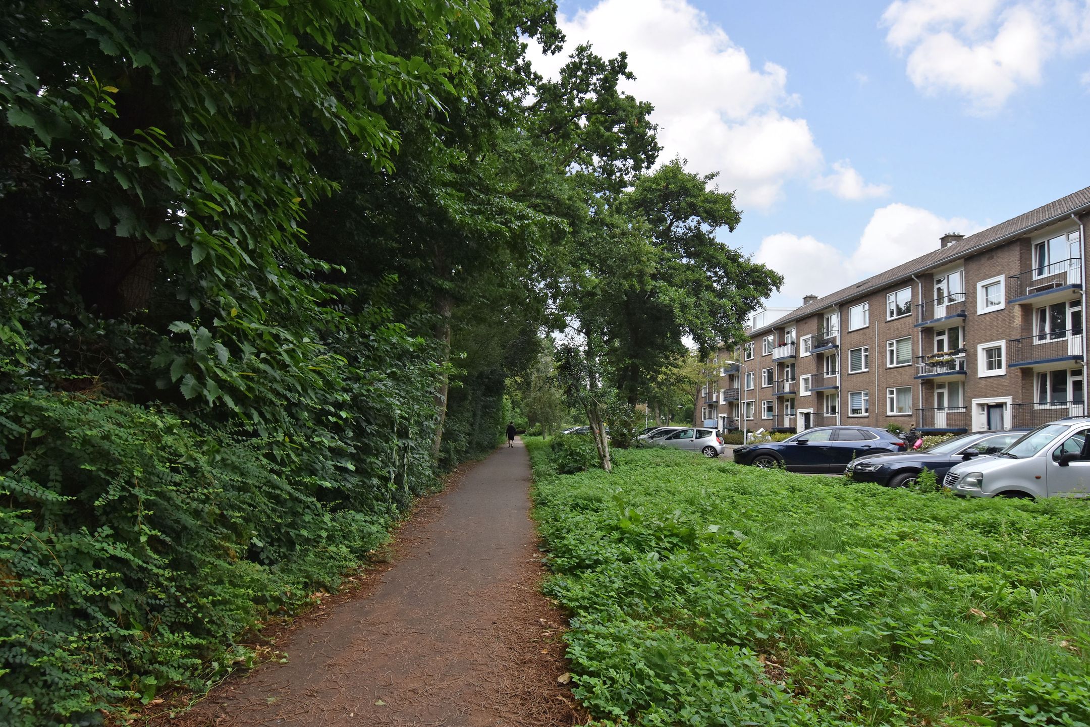 Photo 45 of van Zegwaardstraat 264