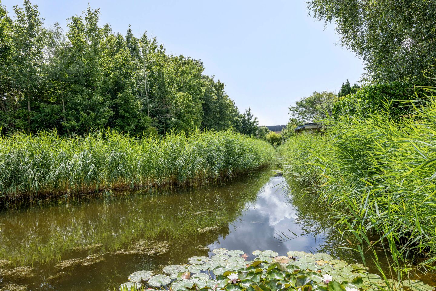 Foto 25 van Anemonenstraat 16